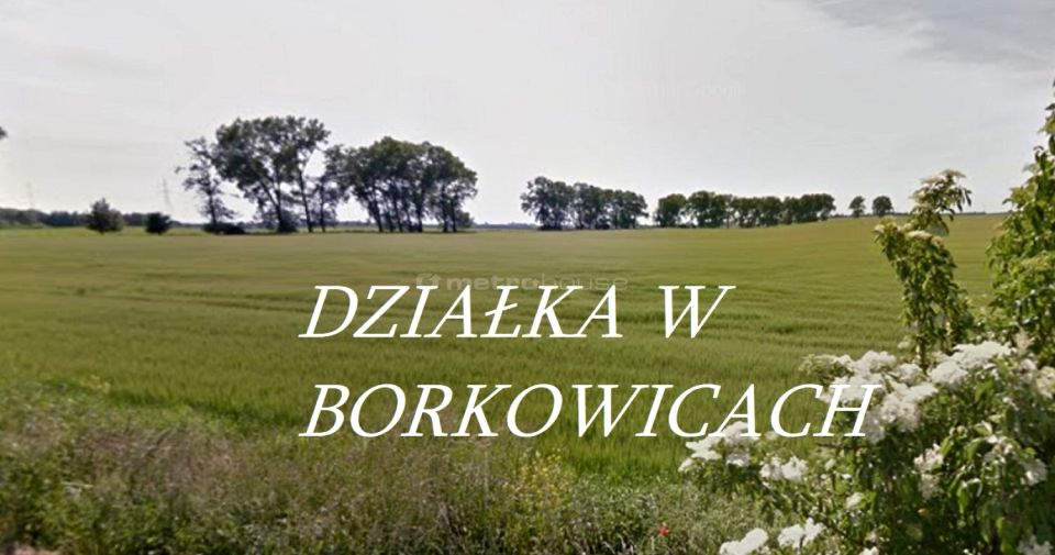 Działka Borkowice