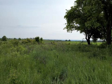 Działka Nowa Wieś
