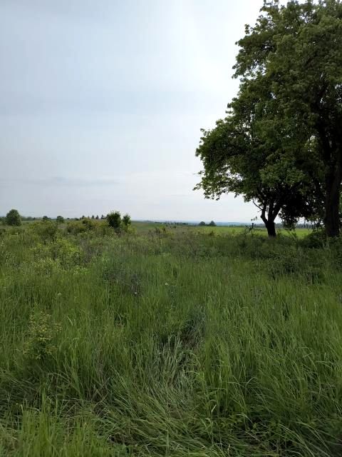 Działka Nowa Wieś