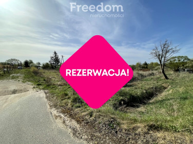 Działka rolna Żółwia Błoć