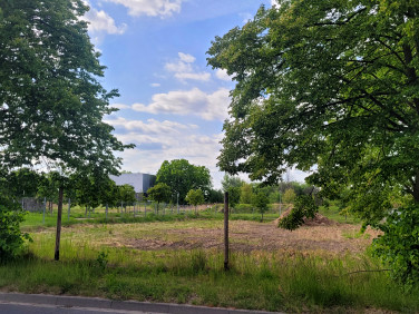Działka Złotkowo