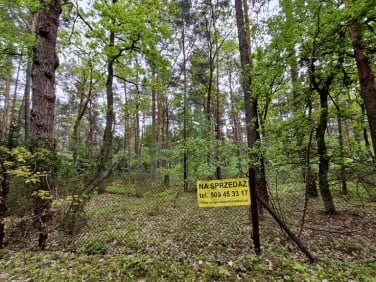 Działka rekreacyjna Osiedle Wilga