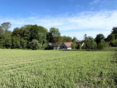 Działka Okmiany