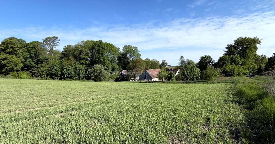 Działka Okmiany