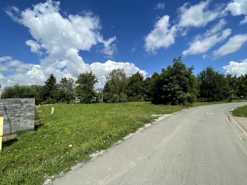 Zdjęcie 2