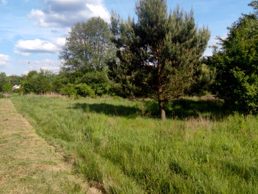 Działka Zielona Góra