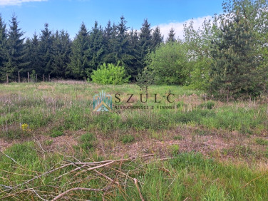 Działka Płociczno-Tartak