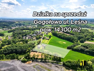 Działka Gogołowa