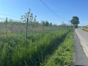 Działka Głuchów