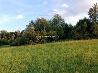 Działka rolna Łazany