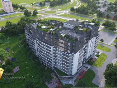 Lokal Lublin