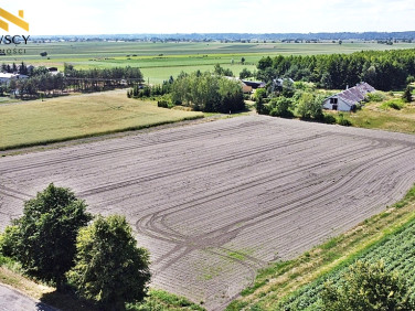 Działka usługowa Bronisławowo