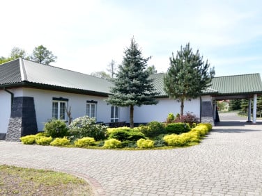 Lokal Stobierna