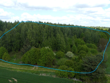Działka Chruszczów-Kolonia
