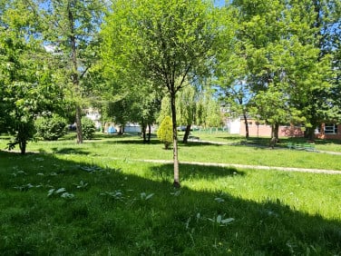 Mieszkanie Łódź