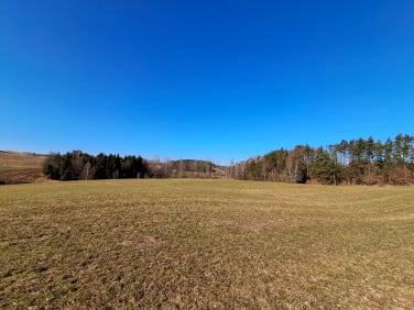Działka budowlana Borzestowo