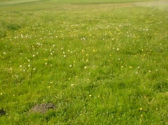 Działka budowlana Grabowiec