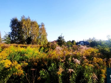 Działka Łódź