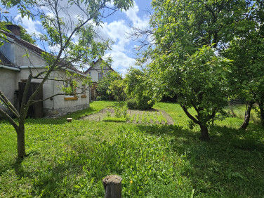 Dom Buków