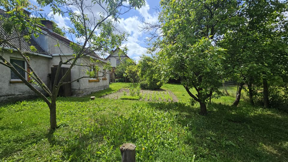 Dom Buków