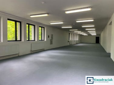 Lokal Jasło