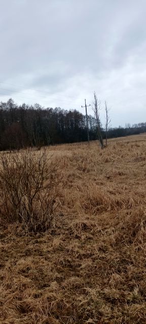 Działka budowlana Białowieża