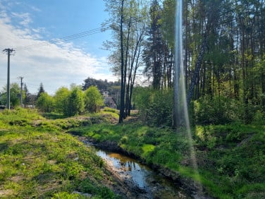 Dom Wiązowna sprzedaż