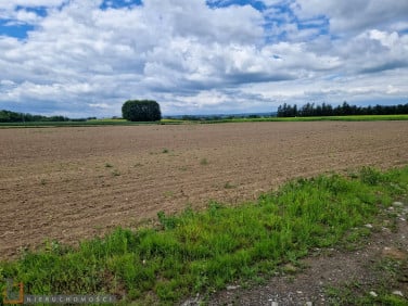 Działka usługowa Widoma