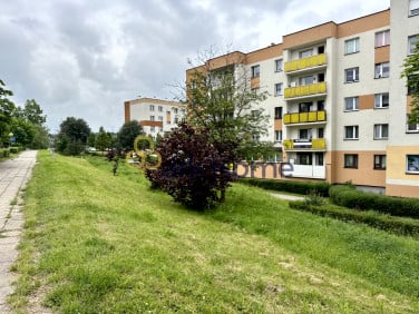 Mieszkanie Głogów sprzedaż