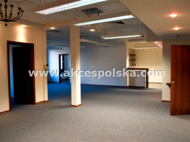 Lokal Warszawa