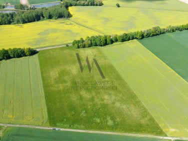 Działka inwestycyjna Oleśnica
