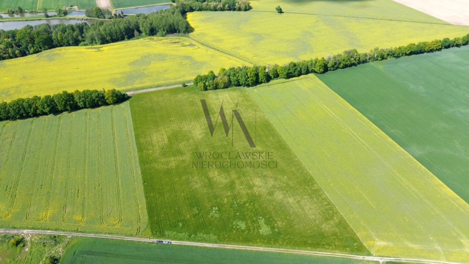 Działka inwestycyjna Oleśnica