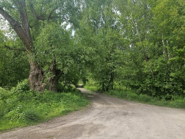 Pusta działka Otwock