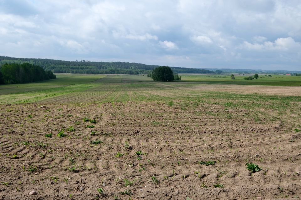 Działka budowlano-rolna Studzianki