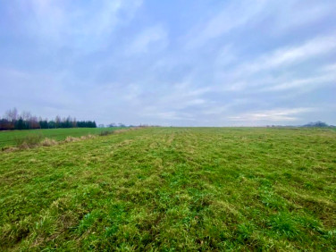 Działka budowlana Gryfice