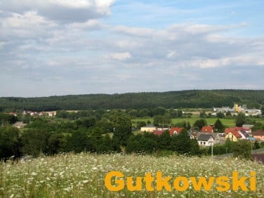 Działka przy lesie
