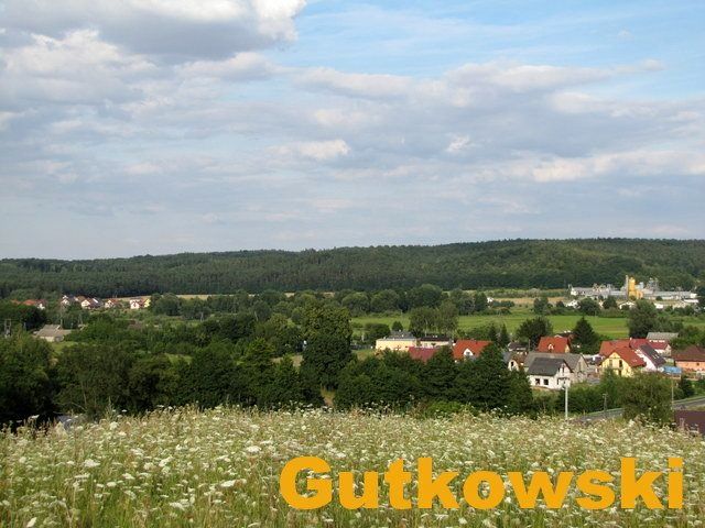 Działka przy lesie