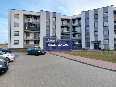 Lokal Biała Podlaska