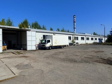 Lokal Płońsk