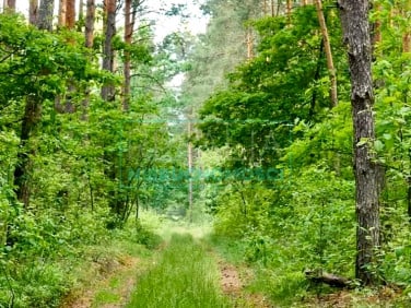 Działka budowlana Strzeniówka