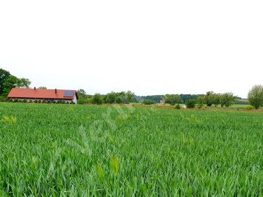 Działka budowlana Juszczyn
