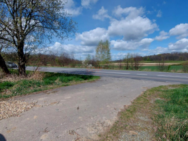 Działka Borkowice