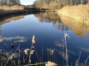 Działka Kruszyn Krajeński