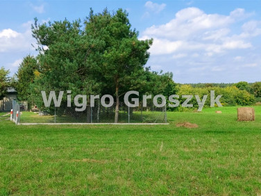 Działka budowlano-rolna Cegielnia-Kosewo sprzedam
