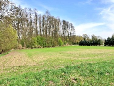 Działka Raków