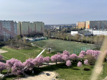 Mieszkanie Wrocław