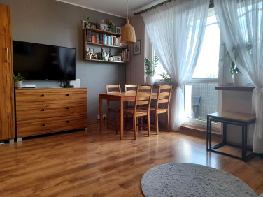 Mieszkanie Łódź