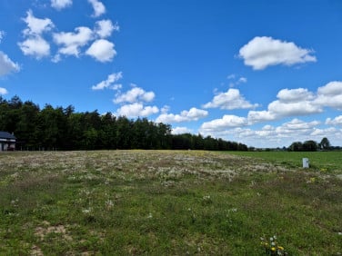 Działka Płońsk