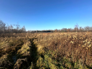 Działka Żurawiniec