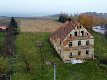 Działka Jaźwina